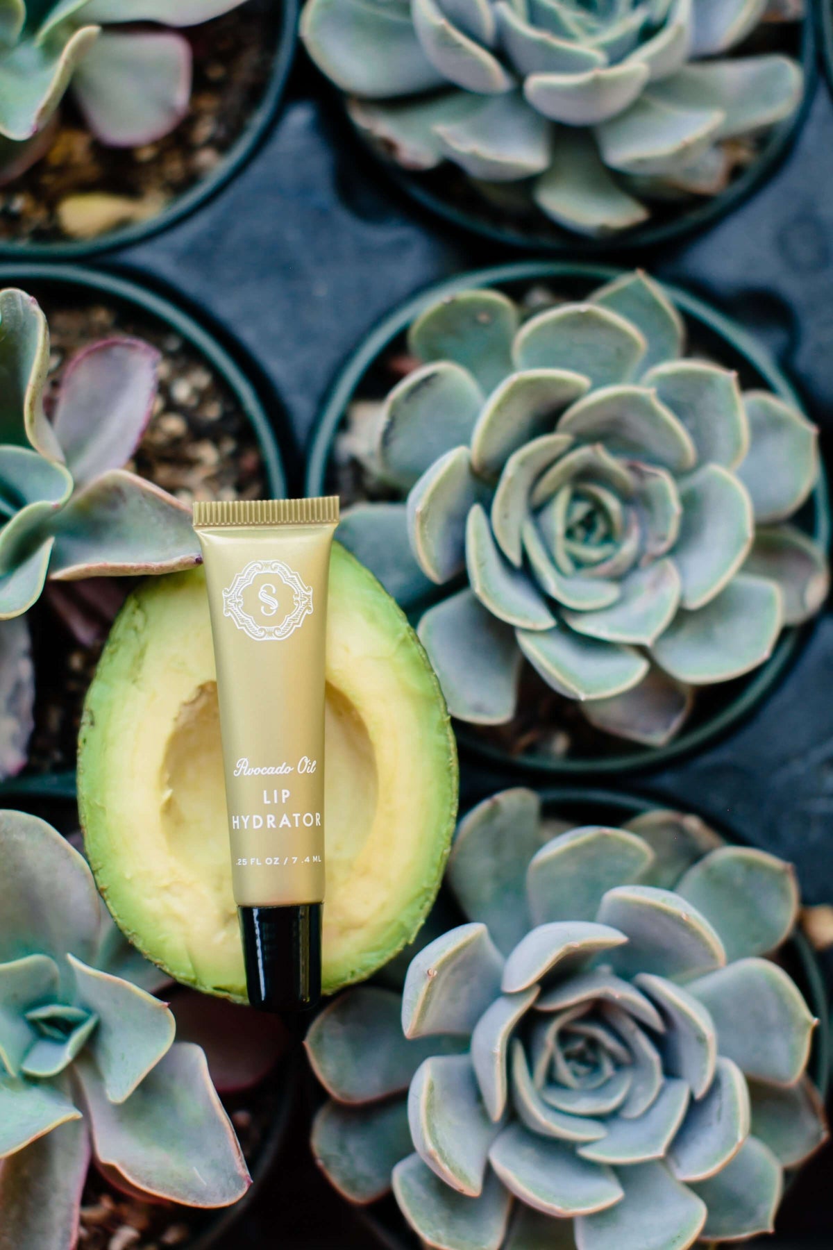 Sorella Lip Hydrator Avocado Oil - Elevate Beauty Store